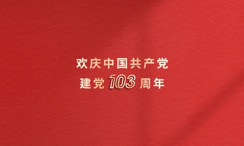 砥砺前行 低空高飞 | 庆建党103周年，宝运莱岳阳、漯河双党支部成立
